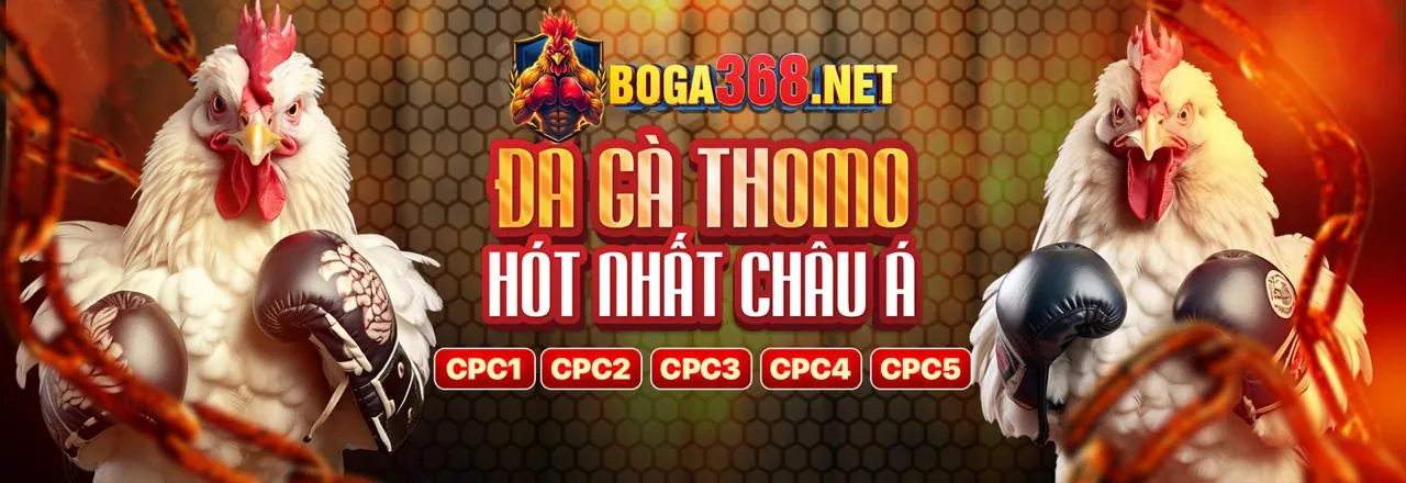 Các tính năng và trò chơi trên ứng dụng wwin casino